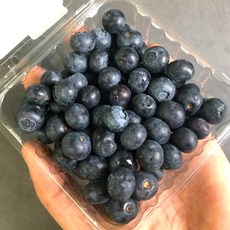 우연팜 미국 칠레 수입산 블루베리 생과, 8개, 블루베리 125g