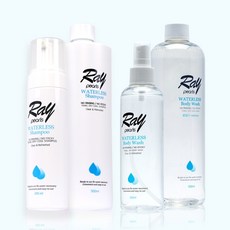 드라이핏샴푸 머리기름기제거 물없이감는샴푸 감기, 바디워시 200ml (본품), 1개, 200ml