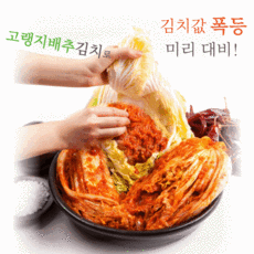 안매운김치