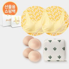 푸딩언더웨어 러블리 푸딩선물세트 러블리 푸딩브라2매추가 브라패드2세트파우치줄자쇼핑백 _P312669882, 블루*L 2매/2단계*선인장, 1개
