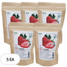 몬스터농장 새콤달콤 동결건조 과일칩 15g, 5개, 딸기