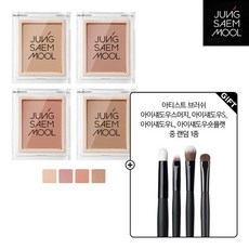 정샘물 컬러피스 아이섀도우 누드+브러쉬, 상세설명 참조, 03 코지 누드