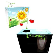 생명과학콩나물키우기