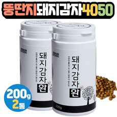 제주40tv