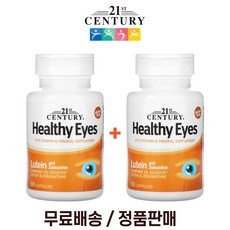 21센츄리냉풍기