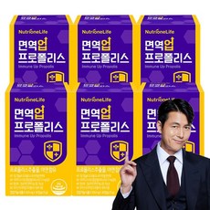 면역력높이는영양제