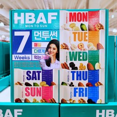 먼투썬7주