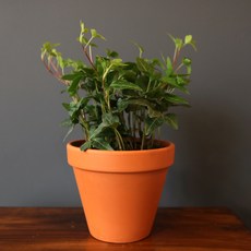 d382ec63ab4bebd2ff4ee107d10f56c59c2a6d8f9b560eecfca587b2c4c0.jpg