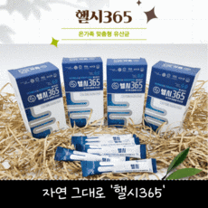 핼시365