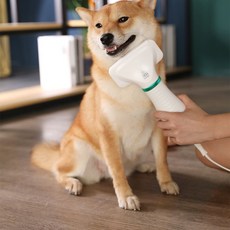 2 IN 1 강아지 털 송풍기-건조기 저소음 애완 동물 헤어 드라이어 휴대용 가정용 개 고양이 손질 빗 액세서리, CHINA, 1개
