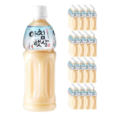 새벽공기아침인사