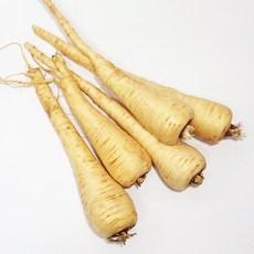 파스닙 1kg 수입산 설탕당근 parsnip, 1개