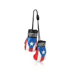 Mini Boxing Gloves - Hanging Punching Gloves - El Salvador, Puerto Rico