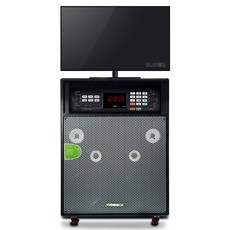 PRO-mini 8인치 가정용 노래방기계 세트 이동식 노래방기기 300w, 가정용반주기 태진355HK, 유선마이크 2개