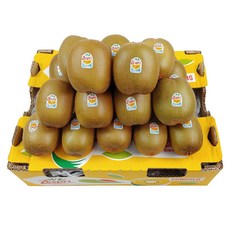 스위트골드키위 TOP01