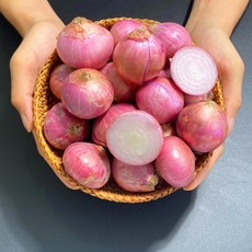 수작업 선별 아삭아삭 맛있는 샬롯 모충 미니양파 Shallot, 중국 샬롯 모충 3kg, 1개