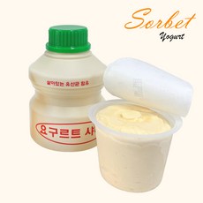 요구르트샤베트-추천-상품