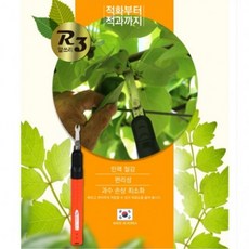 알속기
