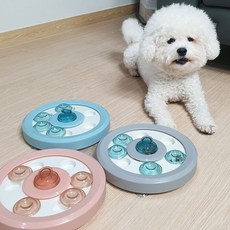강아지 고양이 노즈워크 분리불안 장난감 투명 논슬립, 그레이