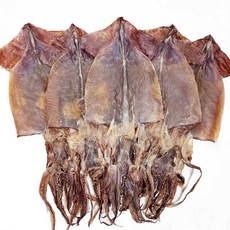 [31건어물] 선도 상급 마른 오징어, 1개, (대) 5미 (400g 내외)