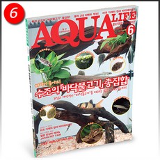 아쿠아라이프 2013년 6월호