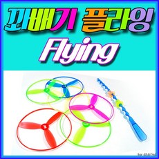 꽈배기플라잉