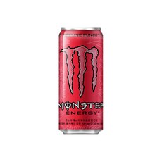몬스터에너지 파이프라인 펀치 355ml 에너지음료, 48개