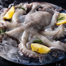 통영 자연산 활 돌문어 1kg(1~3미) /얼음포장, 1개