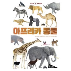 아지아스마트프리