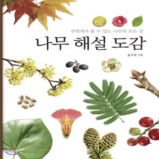 나무해설도감