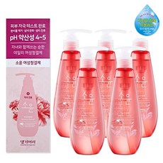 댕기머리 소윤 약산성 여성청결제 250ml, 5개