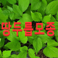 3afe4524374bc07745cea06bf862c943da2c42c2399315c753eefe46fda8.png
