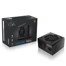 FSP VITA GM 750W 80PLUS Gold ATX 3.1 파워서플라이