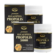 Natures Top EUCALYPTUS PROPOLIS 네이쳐스탑 호주 프리미엄 유칼립투스 프로폴리스 5000mg 120캡슐 2팩, 120개, 2개