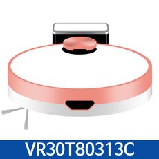 vr30t80313