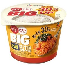 스팸김치볶음밥