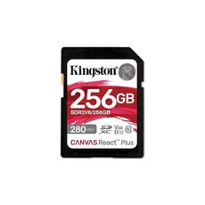 킹스톤 캔버스 리액트 플러스 256GB SD카드, 2) 블랙 - 256gb