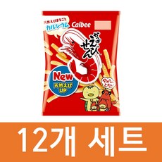 일본정벌