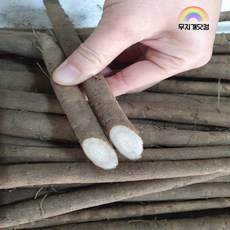 무지개닷컴 햇 우엉 2kg 아삭아삭 반찬용 구수한 우엉차용 햇우엉, 01. 우엉(차용) 2kg