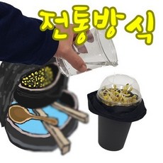 콩나물기르기키트홀더