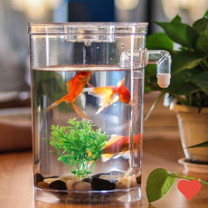 수족관 용품 원형 자동청소 미니 어항 물갈이 열대어, MY FUN FISH 원형, 1개