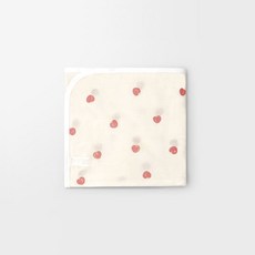 메르베플럼플럼