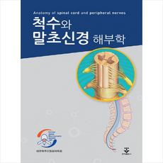 신경외과
