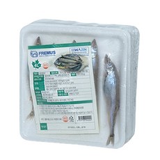 아이슬란드 냉동열빙어 시샤모 25미, 2개, 550g