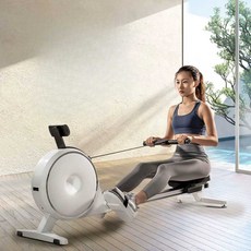 로잉머신 워터 로윙 가정용 조정 노젓기 운동기구