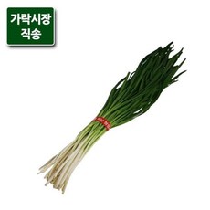 호부추
