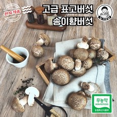 [농사임당] 친환경 무농약 송이향버섯 선물용 가정용 백화 송고 송화 고송 고급 표고버섯, 03.고급형(1kg), 1개