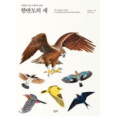 물속을나는새