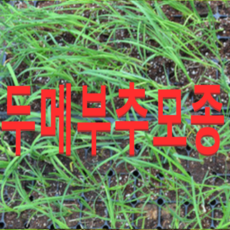 3dc3fc554d806742cd46998eb758e5a09712b2598bc18eb8b0f84f845d8b.png