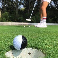 golf 퍼팅연습공 퍼터 연습공 골프 연습볼 퍼팅공 퍼팅볼 골프볼 6개, 6p, 블랙&화이트